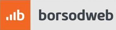 logos/borsodweb%20logo.jpg